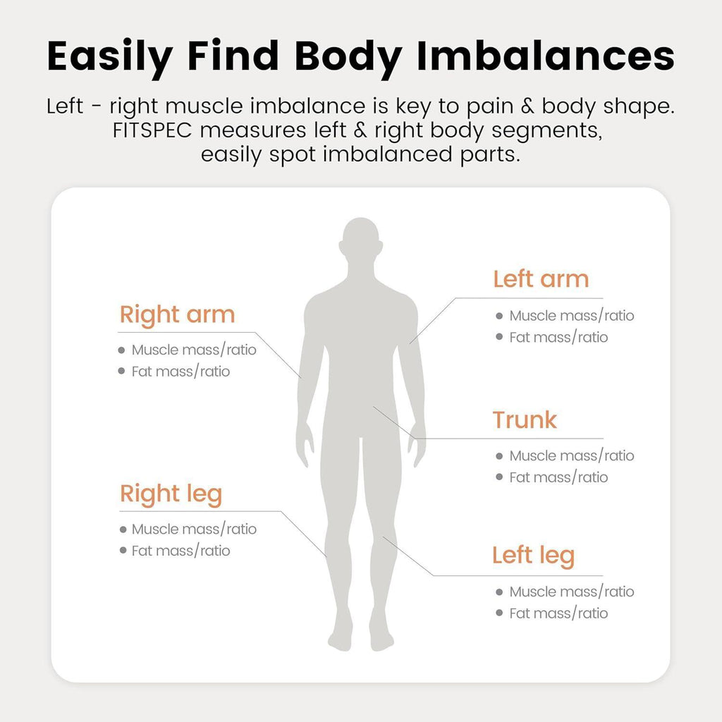 Smart Bluetooth Body Fat Scale – Accurately Tracks 55 Body Composition Metrics