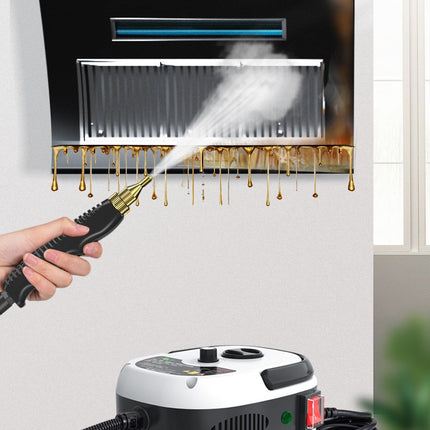 High Pressure Steam Cleaner Air Conditioned Kitchen