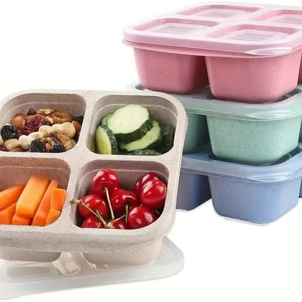 4-Compartment Reusable Bento Snack Box with Clear Lid for Work & Travel