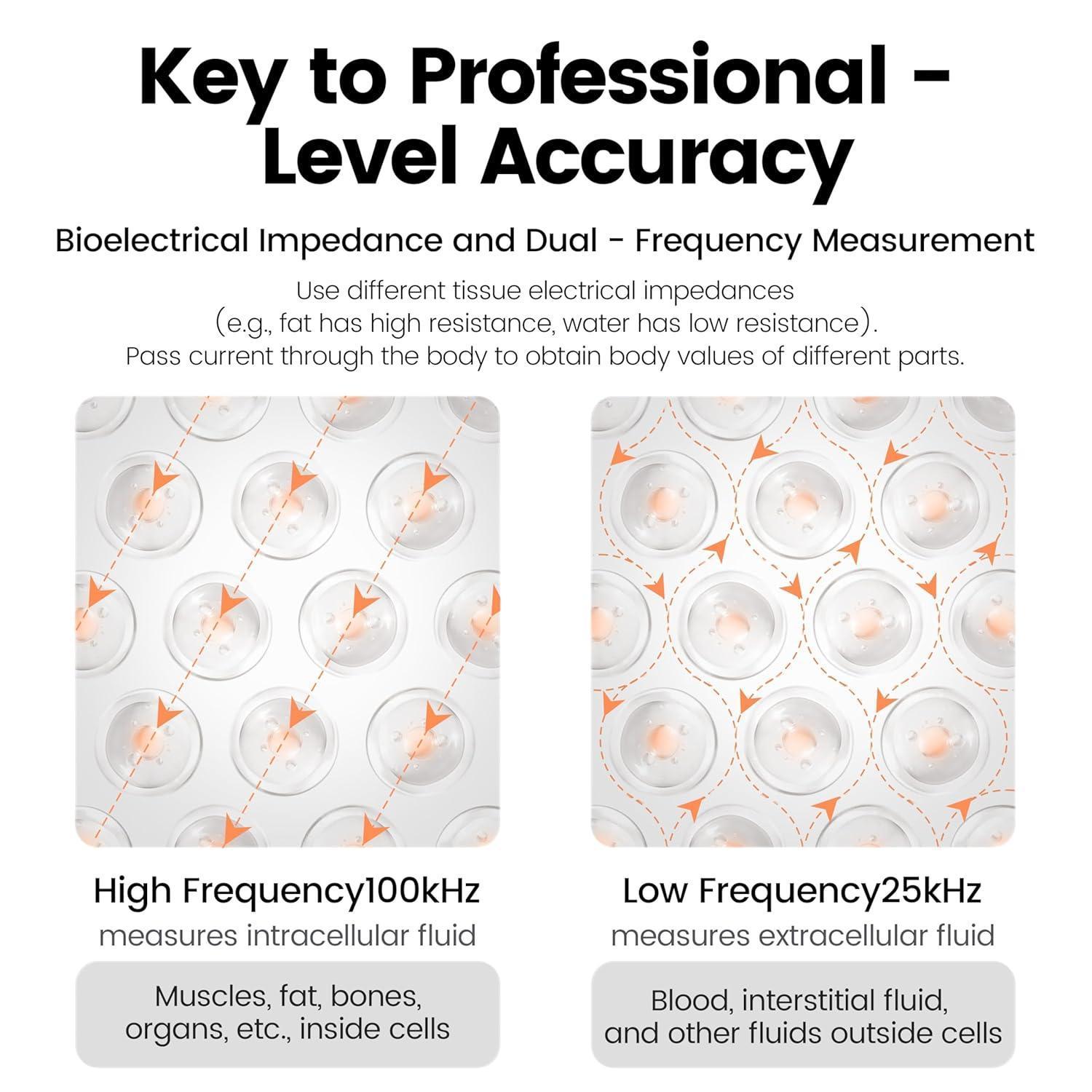 Smart Bluetooth Body Fat Scale – Accurately Tracks 55 Body Composition Metrics